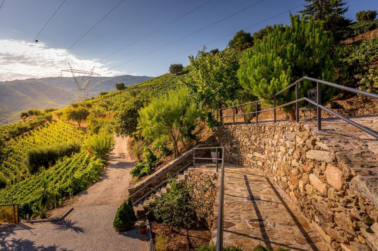 Quinta Da Portela Douro Armamar Exteriör bild